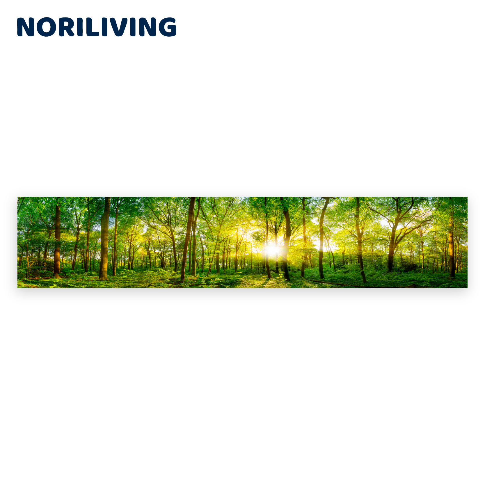 Muster-Vorschau kr418429123 Wald mit Sonnenschein 123 ganzes Motiv