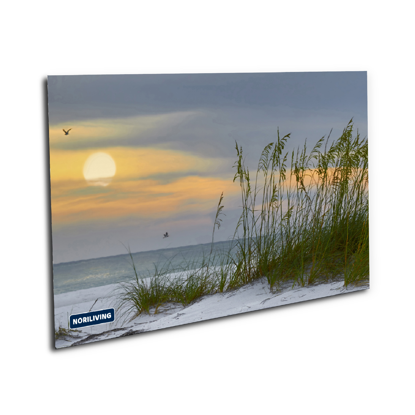 Muster-Vorschau kr36446324 Sonnenuntergang über Holmes Beach 324 Platte 1