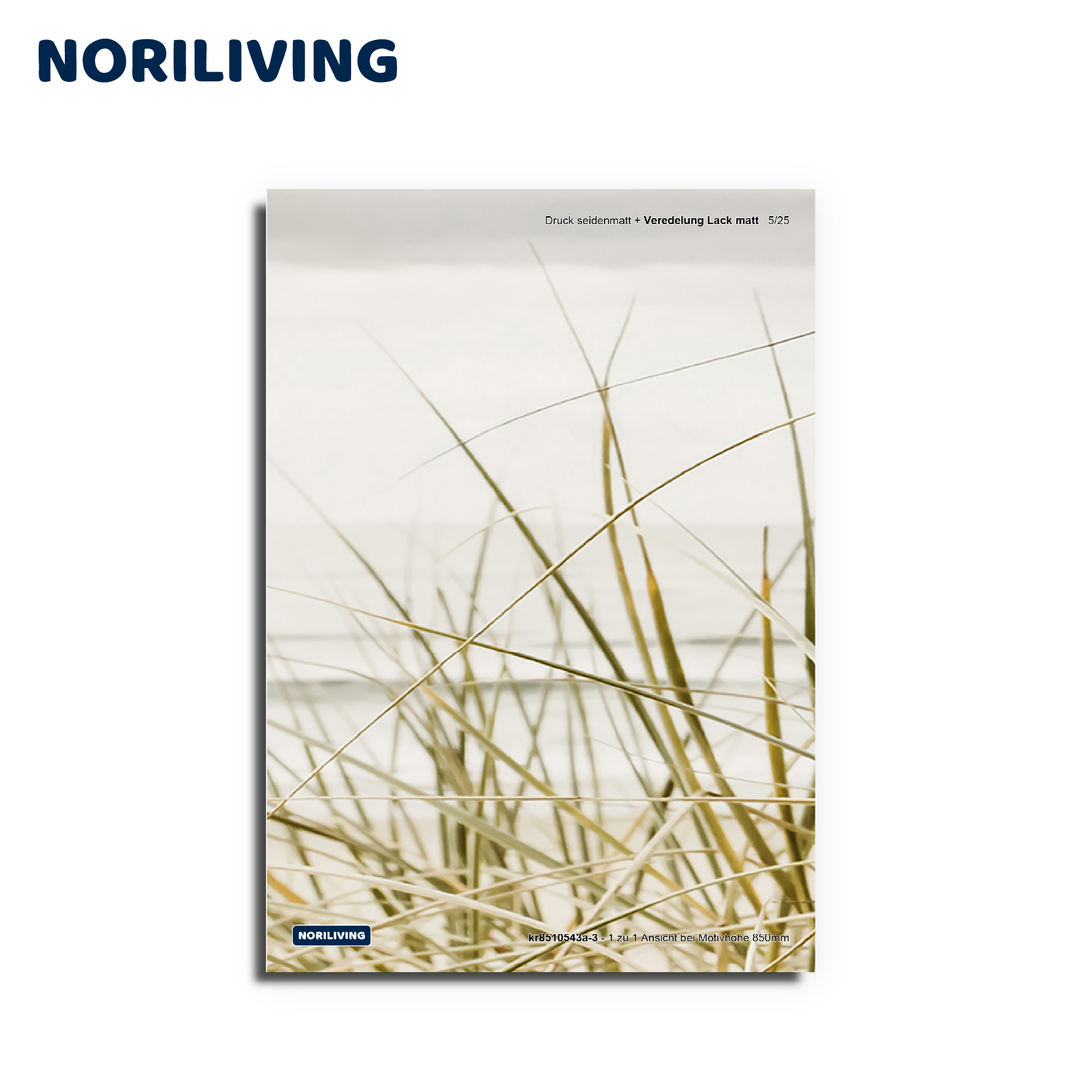 Muster-Vorschau kr8510543a Dünen Gras Strand 543a Platte 3