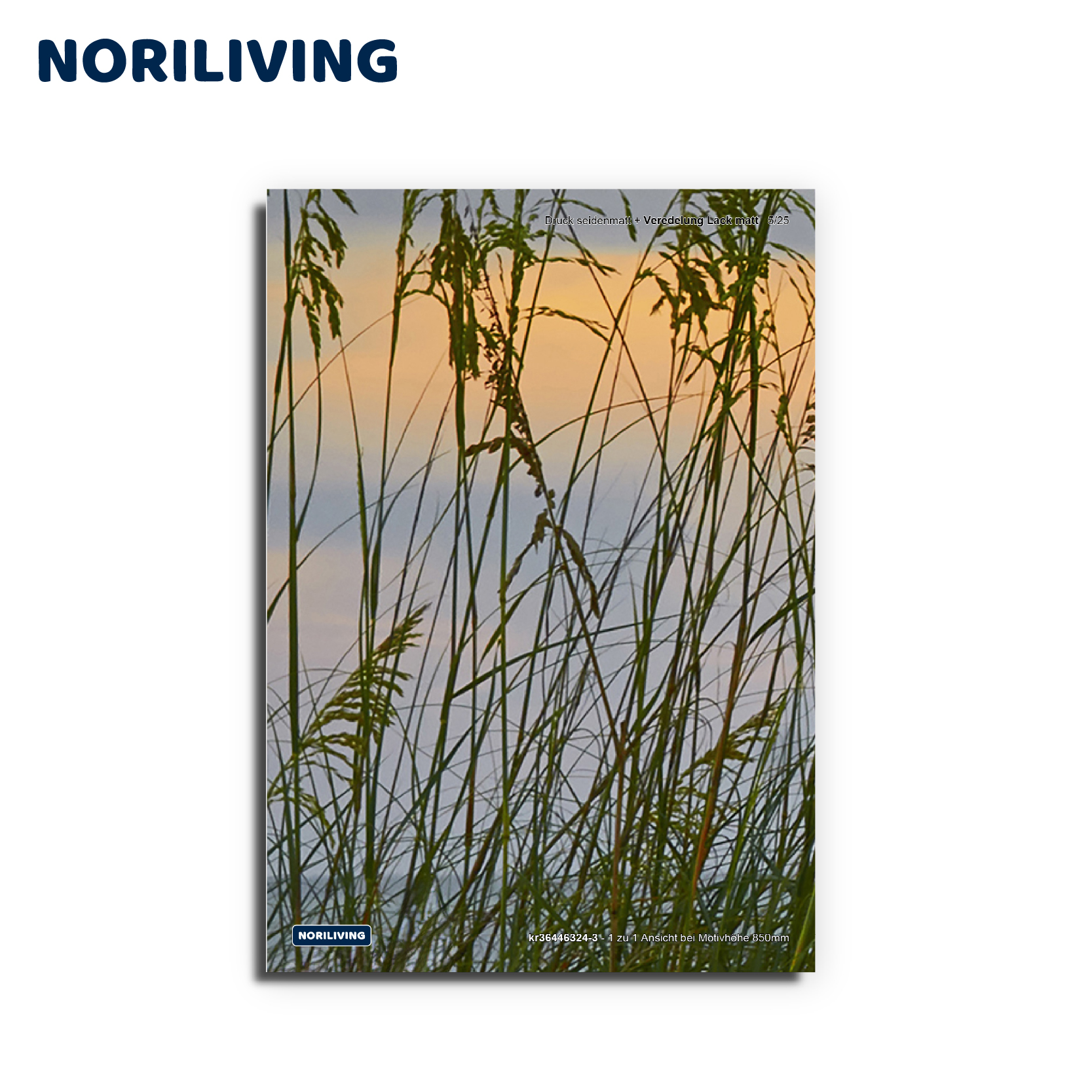 Muster-Vorschau kr36446324 Sonnenuntergang über Holmes Beach 324 Platte 3