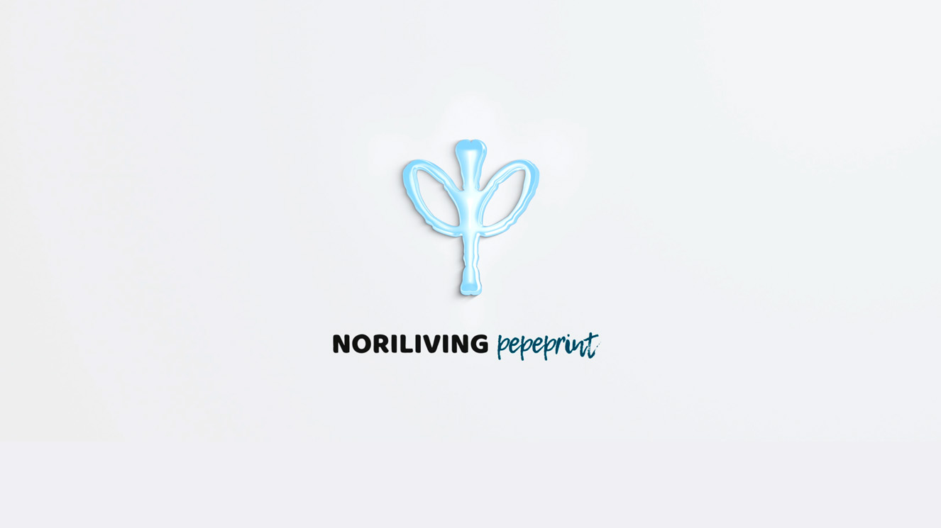 NORILIVING Logo mit blauem Symbol Logo von NORILIVING mit blauem Symbol