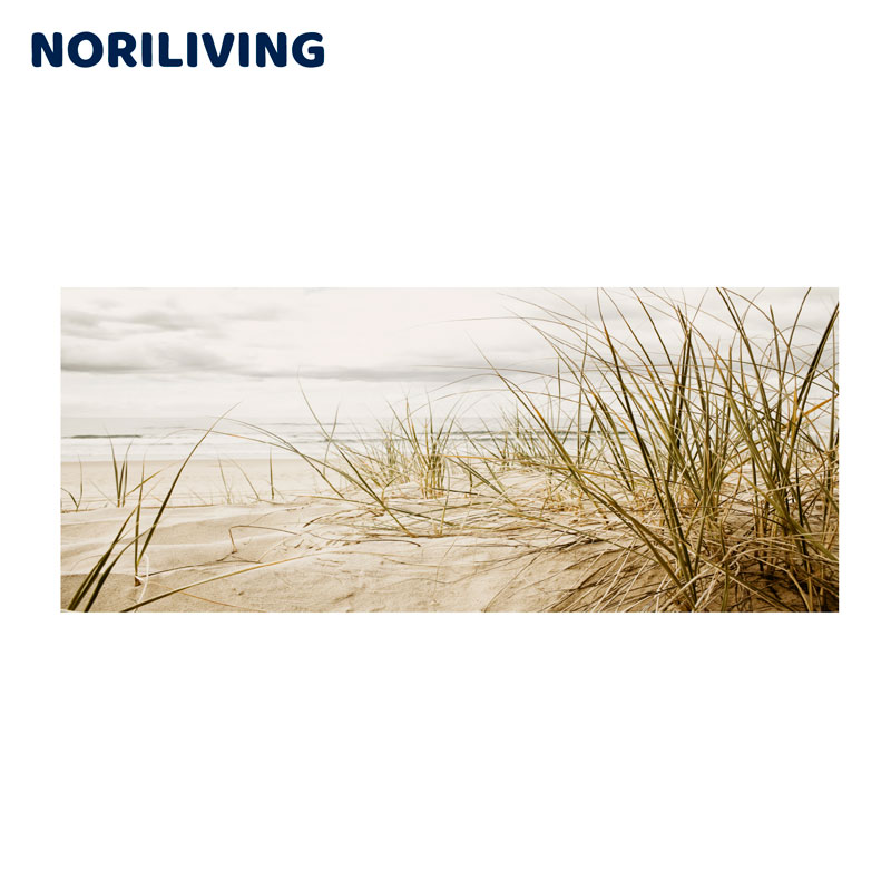 Naturfotografie einer malerischen Strandlandschaft mit Dünen und Gras im Vordergrund