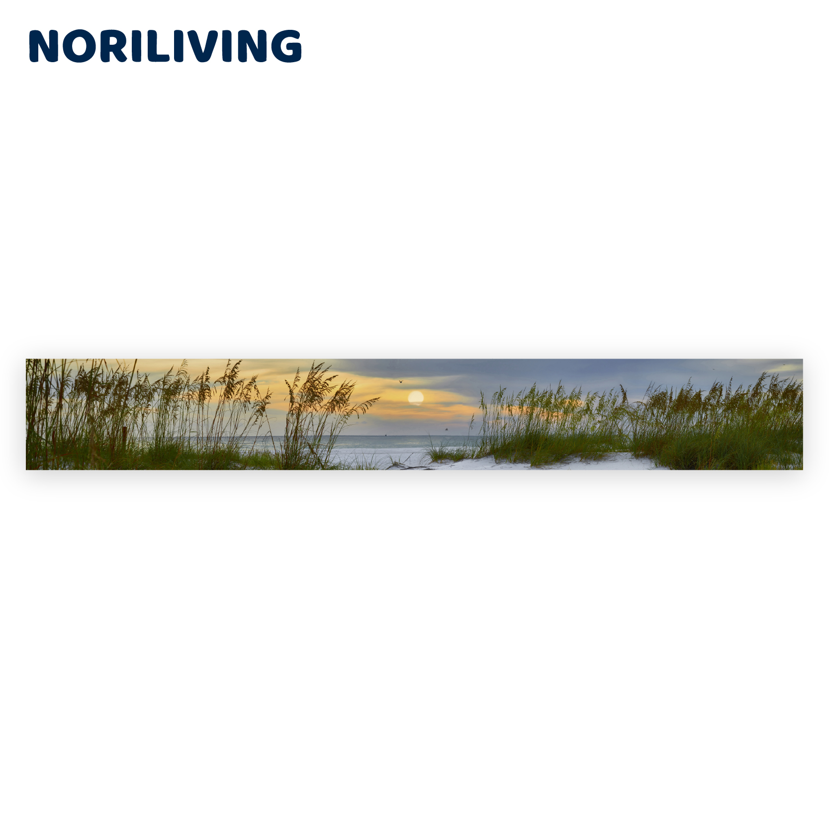 Muster-Vorschau kr36446324 Sonnenuntergang über Holmes Beach 324 ganzes Motiv