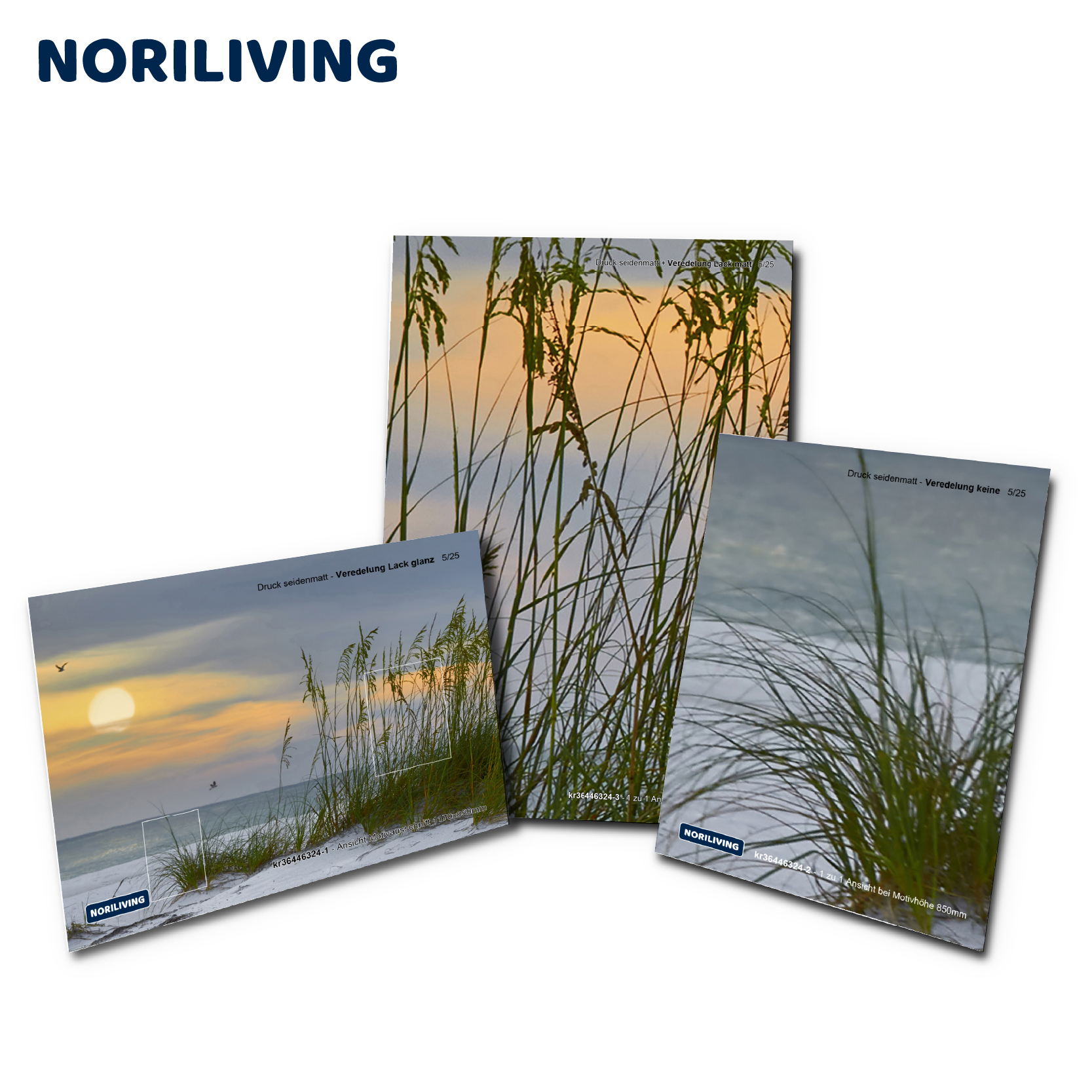 Muster-Vorschau kr36446324 Sonnenuntergang über Holmes Beach 324 gesamt