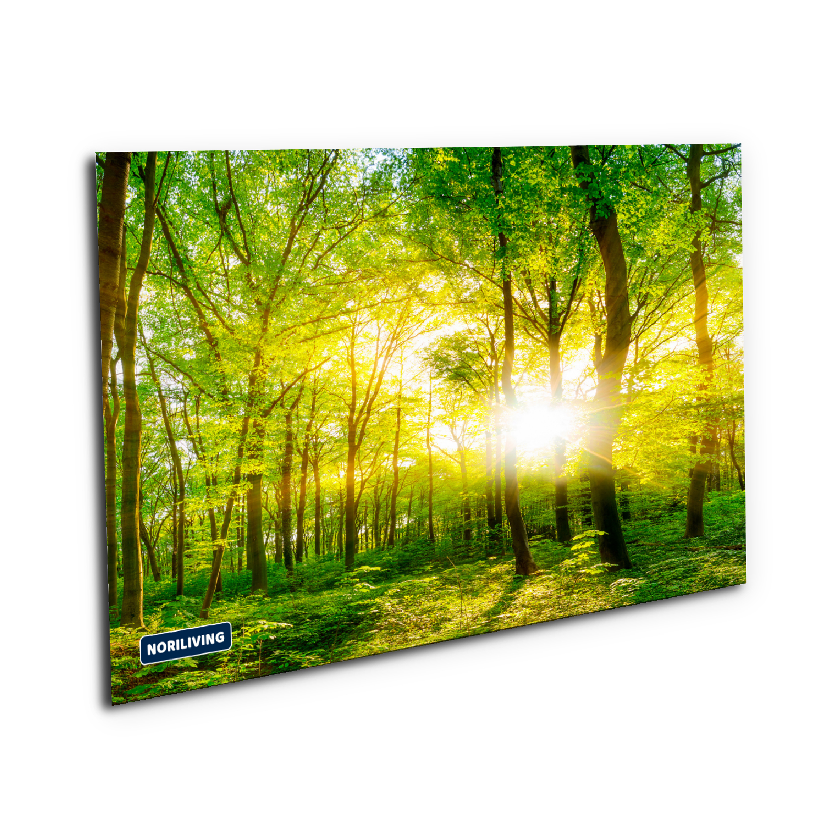 Muster-Vorschau kr418429123 Wald mit Sonnenschein 123 Platte 1